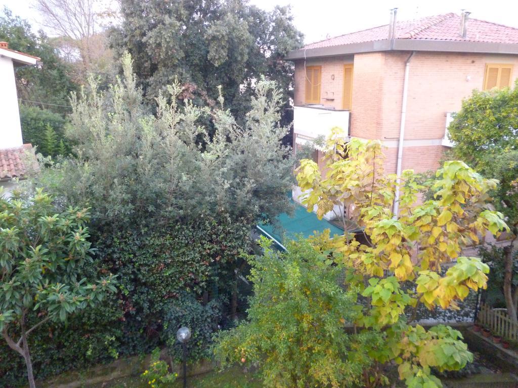 Il Geranio Villa Tirrenia Eksteriør bilde
