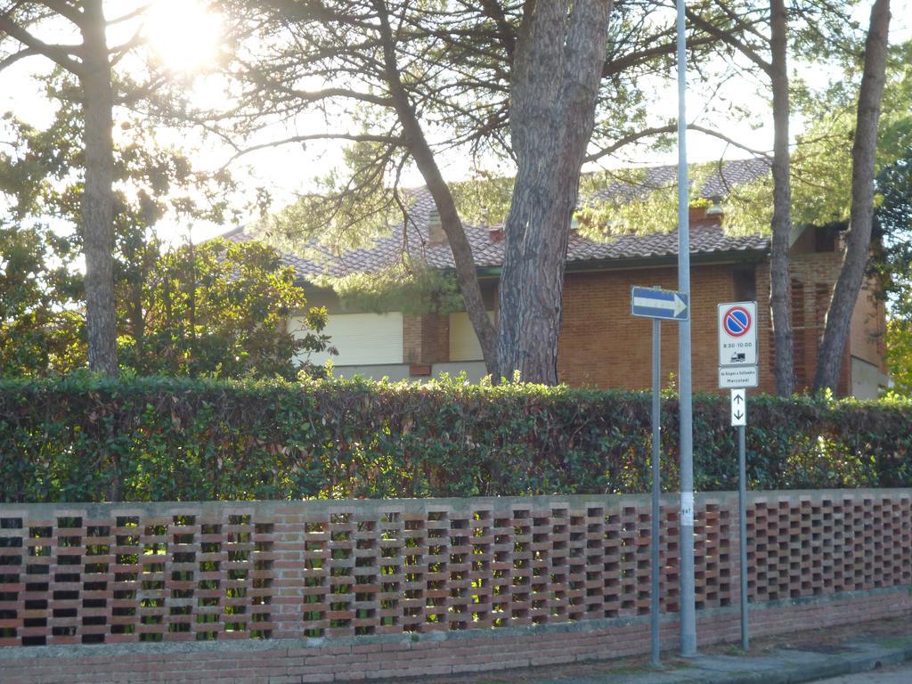 Il Geranio Villa Tirrenia Eksteriør bilde