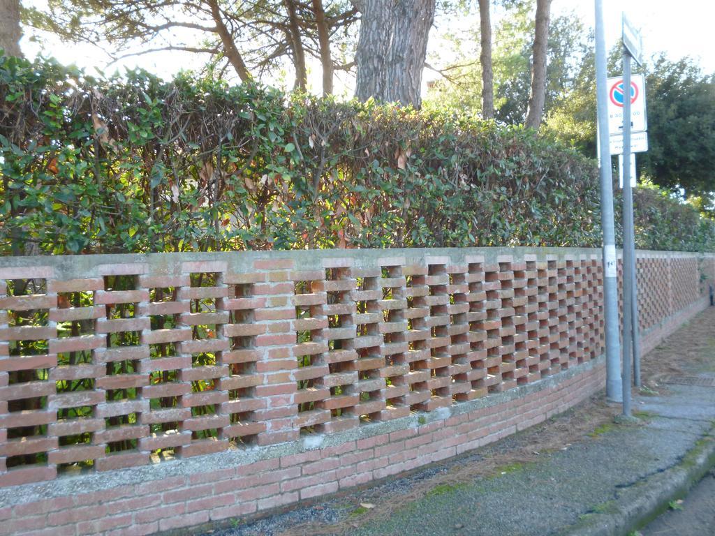 Il Geranio Villa Tirrenia Eksteriør bilde